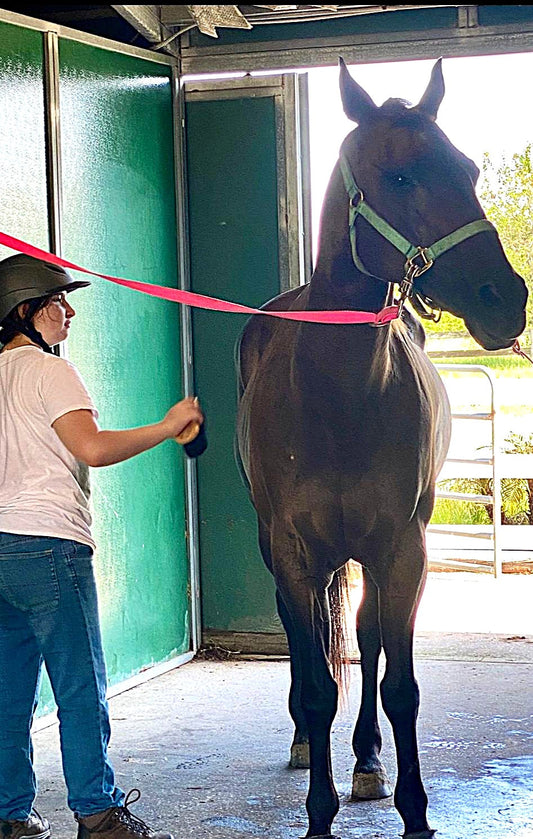 Marina in a barn with her horse, wearing a riding hat — the spirit behind Underdog Rising by Marina Made It