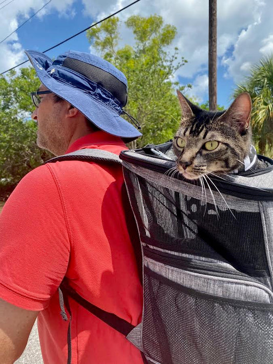 Man walking outdoors with a cat peeking out of a pet backpack — Father's Day at Marina Made It