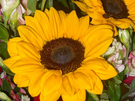 The History of Mother's Day—And Why Thoughtful Gestures Still Matter
